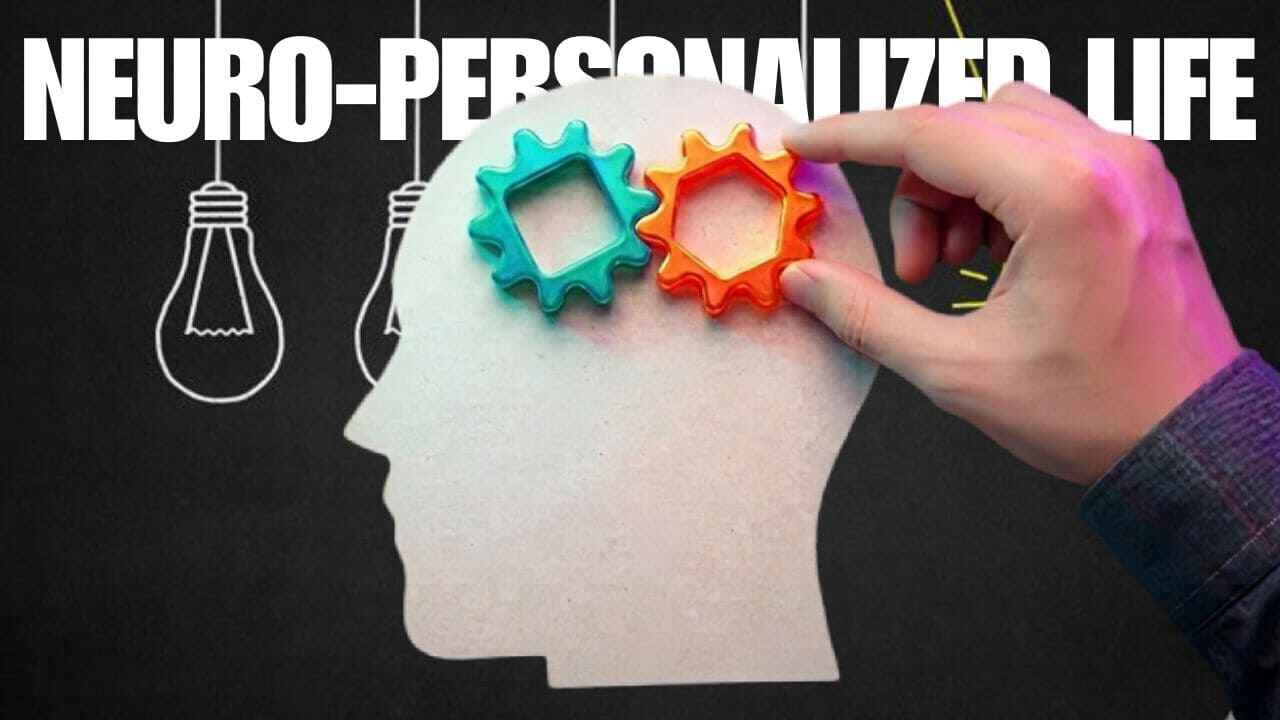 Understanding your unique neural wiring is the foundational step in creating a system that works for you, not against you.